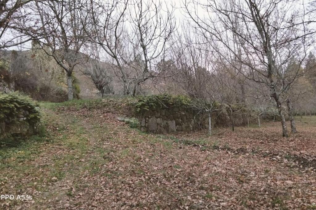 Confort, Fun And Leisure In Douro Rural Space Sande  Exterior photo